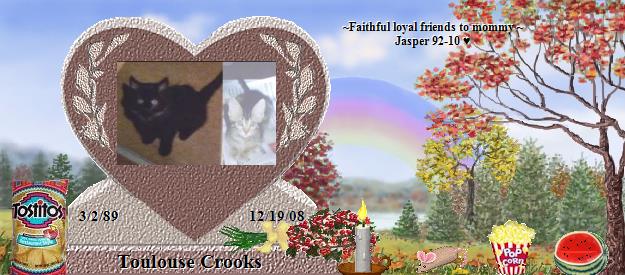 Toulouse Crooks's Rainbow Bridge Pet Loss Memorial Residency Image