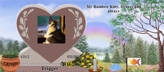 Trigger's Rainbow Bridge Pet Loss Memorial Residency Image