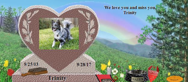Trinity's Rainbow Bridge Pet Loss Memorial Residency Image