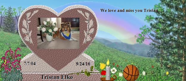 Tristan Elko's Rainbow Bridge Pet Loss Memorial Residency Image