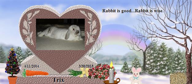 Trix's Rainbow Bridge Pet Loss Memorial Residency Image
