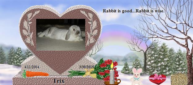 Trix's Rainbow Bridge Pet Loss Memorial Residency Image