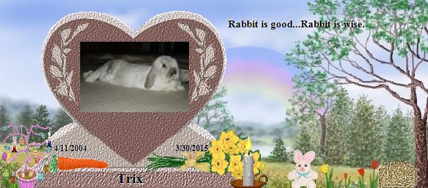 Trix's Rainbow Bridge Pet Loss Memorial Residency Image