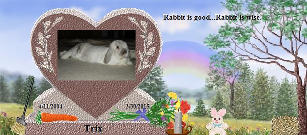 Trix's Rainbow Bridge Pet Loss Memorial Residency Image