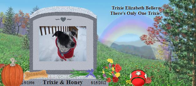 Trixie & Honey's Rainbow Bridge Pet Loss Memorial Residency Image