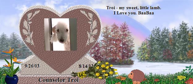 Counselor Troi's Rainbow Bridge Pet Loss Memorial Residency Image