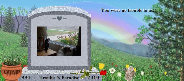 Trouble N Paradise's Rainbow Bridge Pet Loss Memorial Residency Image