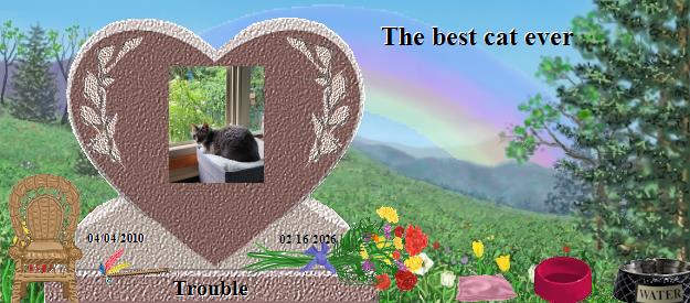 Trouble's Rainbow Bridge Pet Loss Memorial Residency Image