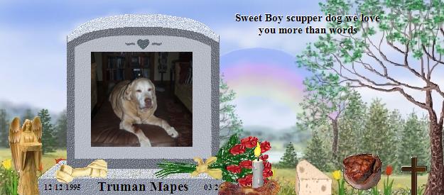 Truman Mapes's Rainbow Bridge Pet Loss Memorial Residency Image
