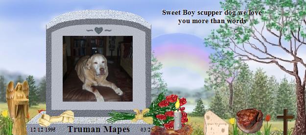 Truman Mapes's Rainbow Bridge Pet Loss Memorial Residency Image