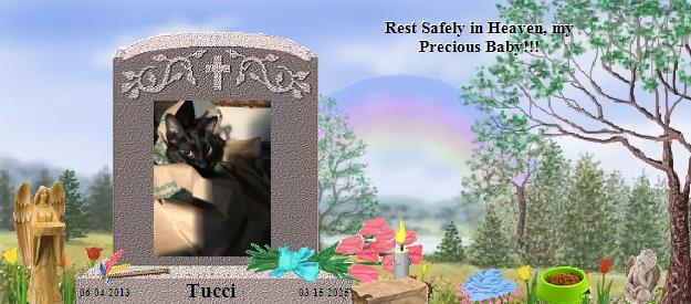 Tucci's Rainbow Bridge Pet Loss Memorial Residency Image