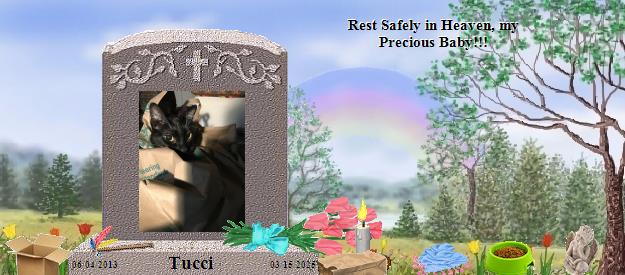 Tucci's Rainbow Bridge Pet Loss Memorial Residency Image