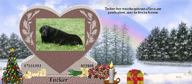 Tucker's Rainbow Bridge Pet Loss Memorial Residency Image