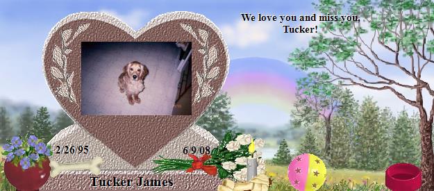 Tucker James's Rainbow Bridge Pet Loss Memorial Residency Image