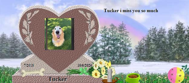 Tucker's Rainbow Bridge Pet Loss Memorial Residency Image