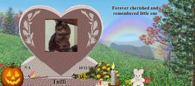 Tuffi's Rainbow Bridge Pet Loss Memorial Residency Image