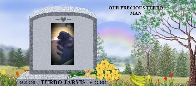 TURBO JARVIS's Rainbow Bridge Pet Loss Memorial Residency Image