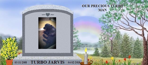 TURBO JARVIS's Rainbow Bridge Pet Loss Memorial Residency Image