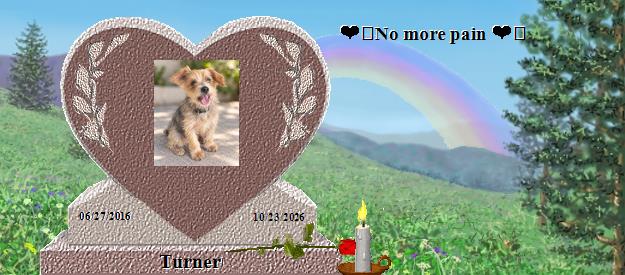 Turner's Rainbow Bridge Pet Loss Memorial Residency Image