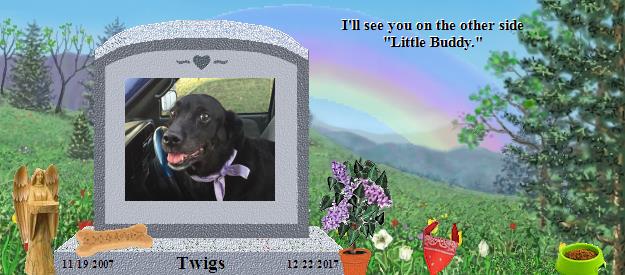 Twigs's Rainbow Bridge Pet Loss Memorial Residency Image