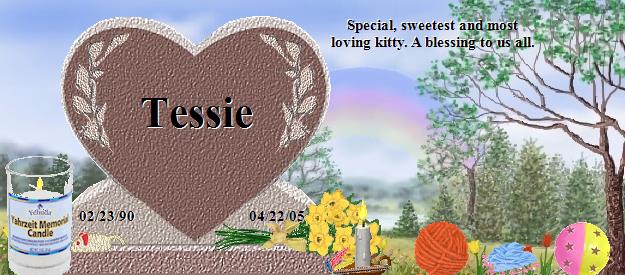Tessie's Rainbow Bridge Pet Loss Memorial Residency Image