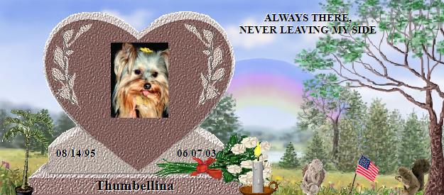 Thumbellina's Rainbow Bridge Pet Loss Memorial Residency Image