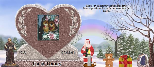 Tia & Timmy's Rainbow Bridge Pet Loss Memorial Residency Image