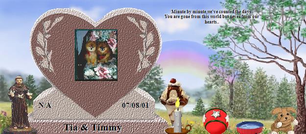 Tia & Timmy's Rainbow Bridge Pet Loss Memorial Residency Image