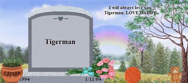 Tigerman's Rainbow Bridge Pet Loss Memorial Residency Image