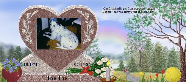 Toe Toe's Rainbow Bridge Pet Loss Memorial Residency Image