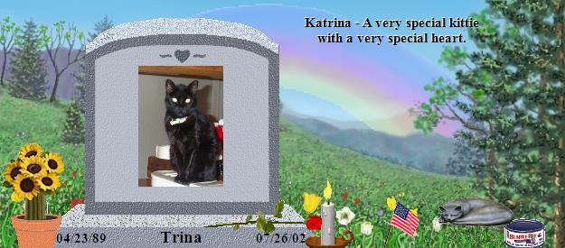 Trina's Rainbow Bridge Pet Loss Memorial Residency Image