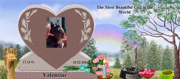 Valentine's Rainbow Bridge Pet Loss Memorial Residency Image
