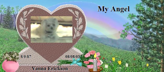Vanna Erickson's Rainbow Bridge Pet Loss Memorial Residency Image