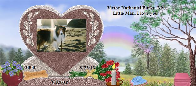Victor's Rainbow Bridge Pet Loss Memorial Residency Image