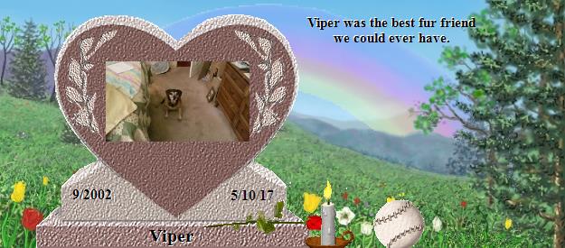 Viper's Rainbow Bridge Pet Loss Memorial Residency Image