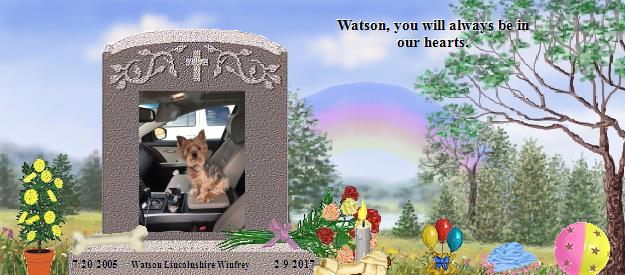 Watson Lincolnshire Winfrey's Rainbow Bridge Pet Loss Memorial Residency Image