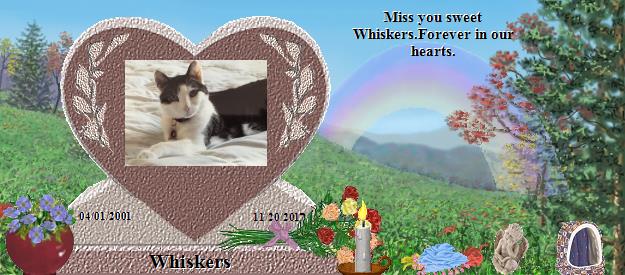 Whiskers's Rainbow Bridge Pet Loss Memorial Residency Image