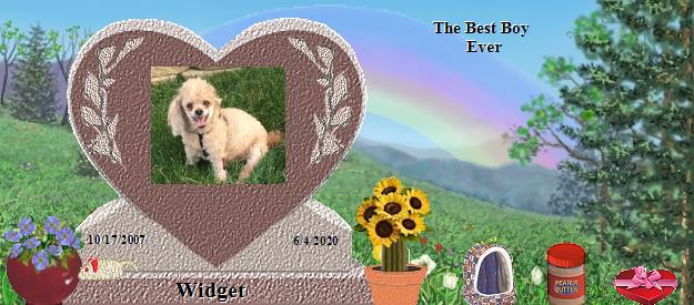 Widget's Rainbow Bridge Pet Loss Memorial Residency Image