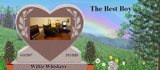Willie Whiskers's Rainbow Bridge Pet Loss Memorial Residency Image