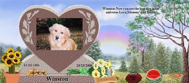 Winston's Rainbow Bridge Pet Loss Memorial Residency Image