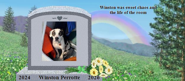 Winston Perrotte's Rainbow Bridge Pet Loss Memorial Residency Image