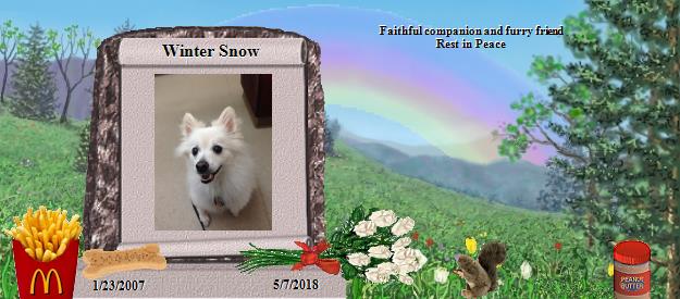 Winter Snow's Rainbow Bridge Pet Loss Memorial Residency Image