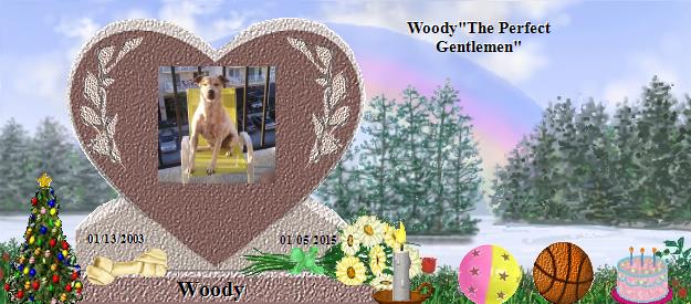 Woody's Rainbow Bridge Pet Loss Memorial Residency Image
