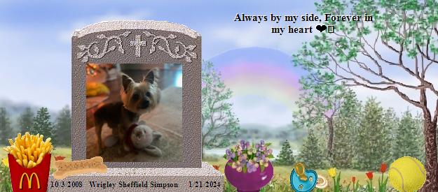 Wrigley Sheffield Simpson's Rainbow Bridge Pet Loss Memorial Residency Image