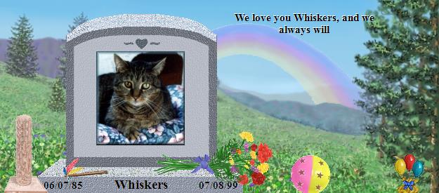 Whiskers's Rainbow Bridge Pet Loss Memorial Residency Image