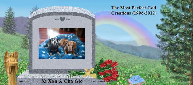 Xi Xon & Cha Gio's Rainbow Bridge Pet Loss Memorial Residency Image