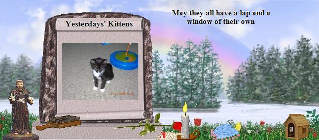 Yesterdays' Kittens's Rainbow Bridge Pet Loss Memorial Residency Image