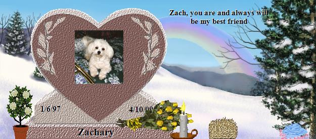 Zachary's Rainbow Bridge Pet Loss Memorial Residency Image