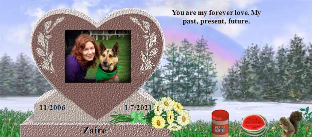 Zaire's Rainbow Bridge Pet Loss Memorial Residency Image
