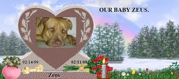 Zeus's Rainbow Bridge Pet Loss Memorial Residency Image